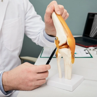 Doctor holding a knee joint anatomical model, explaining structure and injury mechanisms related to sports traumatology.