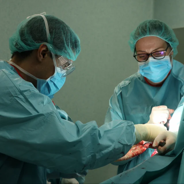 Close-up of orthopaedic surgeons operating on an elbow using microsurgical precision techniques.